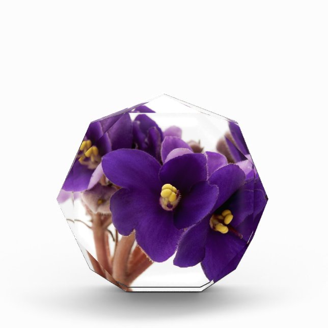 African violet acrylic award (Front)
