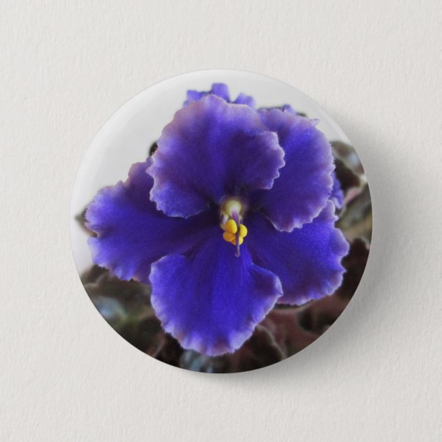 African Violet Blooming Button (Front)