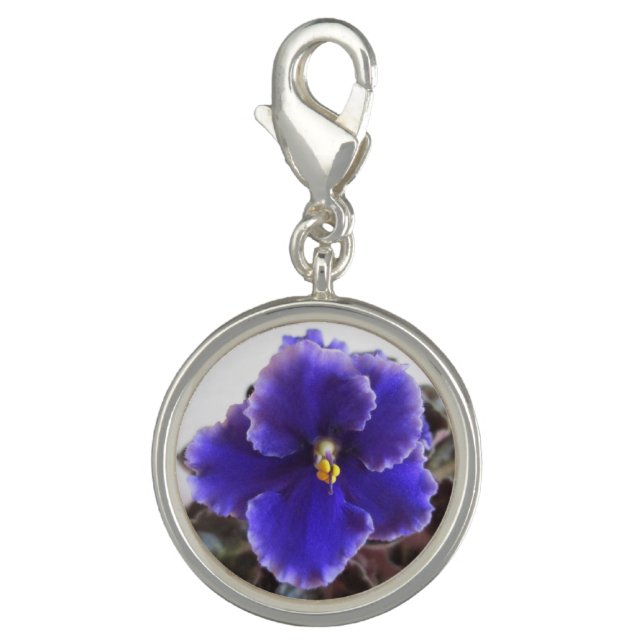 African Violet Blooming Charm (Front)