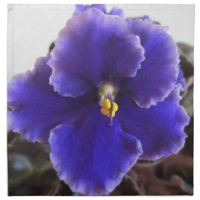 African Violet Blooming Cloth Napkin (Front)