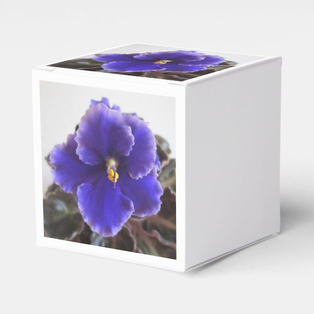 African Violet Blooming Favor Boxes (Front Side)