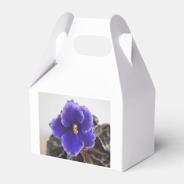 African Violet Blooming Favor Boxes (Front Side)