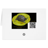African Violet Blossom Cards (Back Horizontal)