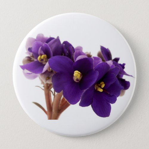 African violet button