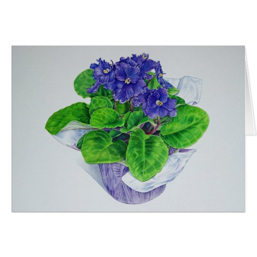 African Violet Cards (Front Horizontal)