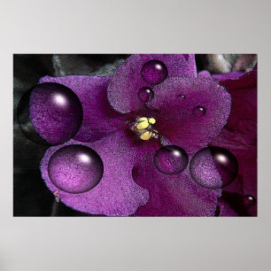 African Violet Fantasy Poster