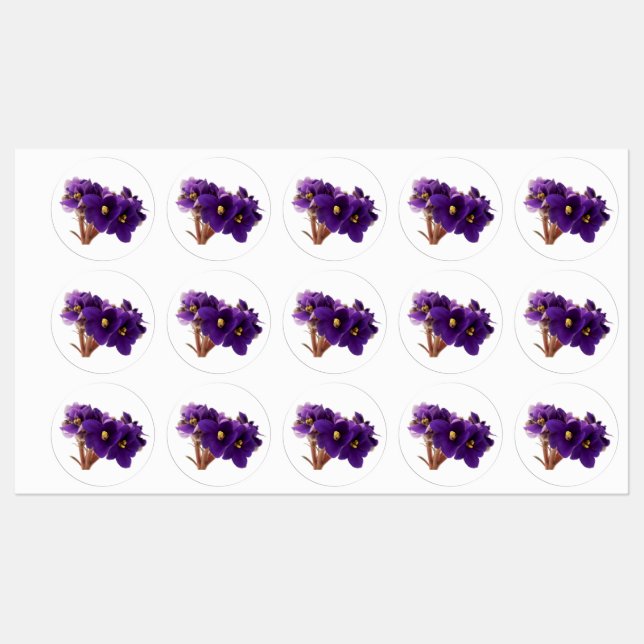 African violet labels (Sheet)