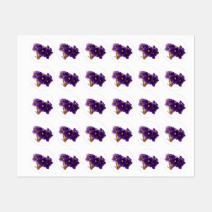 African violet labels