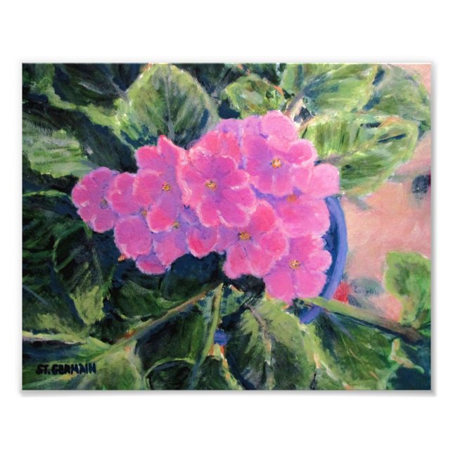African Violet Photo Print (Front)