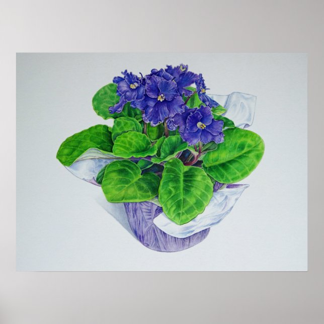 African Violet Poster (Front)