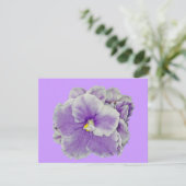 African Violet Purple (Standing Front)