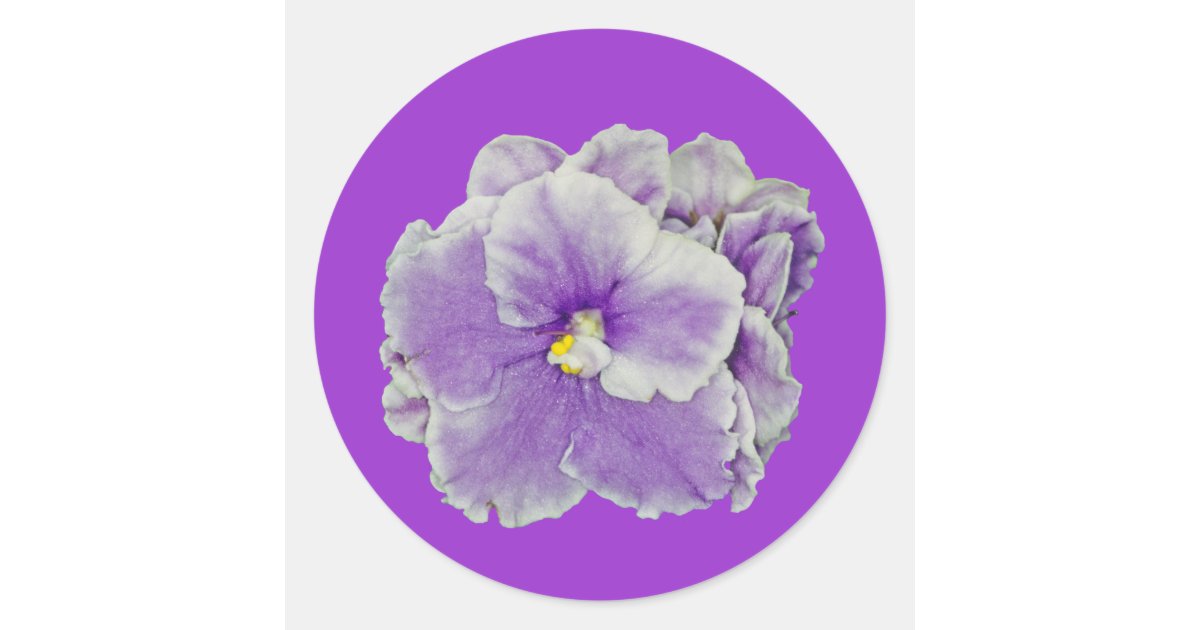 African Violet Purple Classic Round Sticker Zazzle