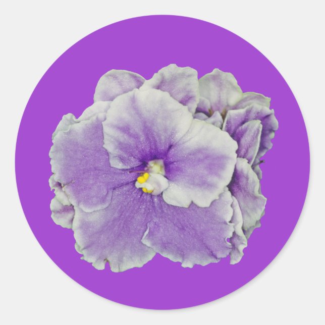 African Violet Purple Classic Round Sticker (Front)