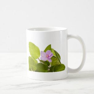 african violet - saintpaulia ionantha coffee mug