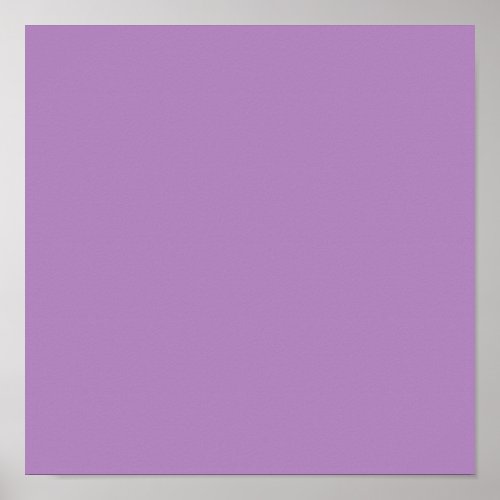 African violet  solid color  poster