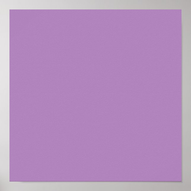 African violet  (solid color)  poster (Front)
