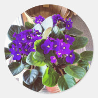 African Violet Stationery