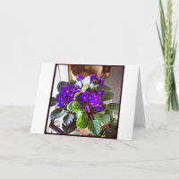 African Violet Stationery