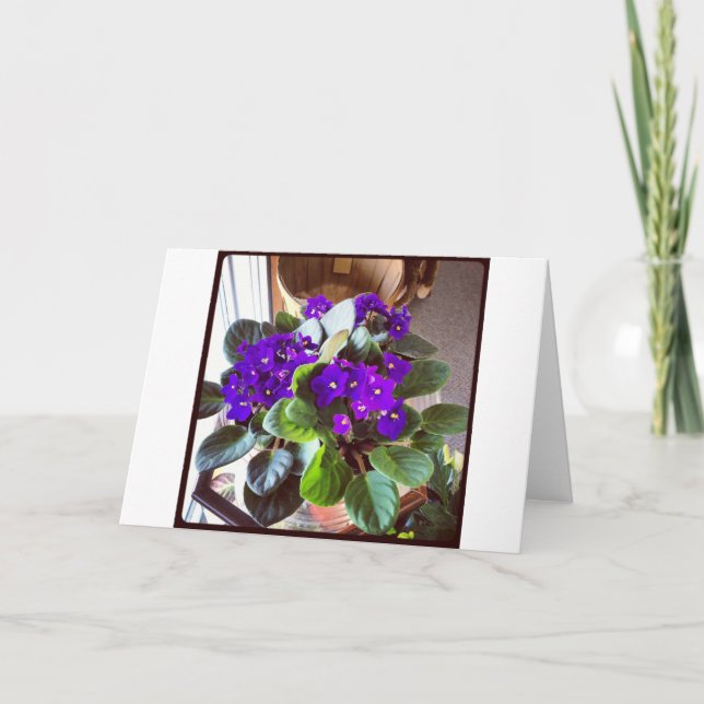 African Violet Stationery Note Card (Front)