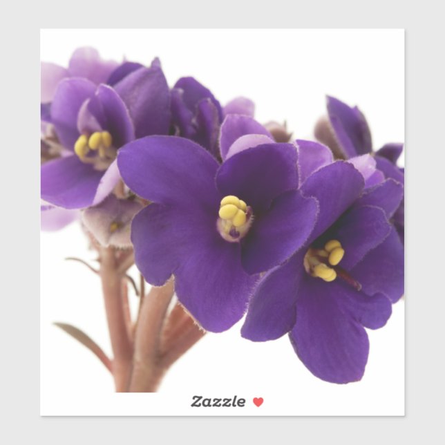 African violet sticker (Sheet)