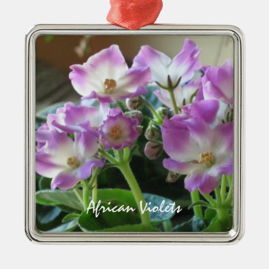 African Violets Flowers Ornament