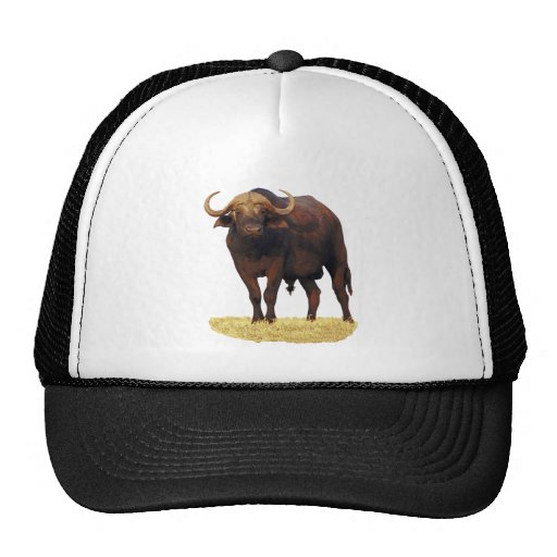 African Water Buffalo Trucker Hat | Zazzle