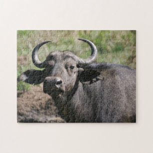 African Water Buffalo Jigsaw Puzzle