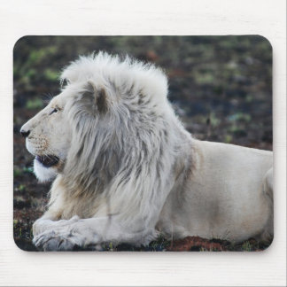 African White Lion Profile photo Mouse Pad
