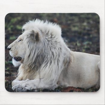 African White Lion Profile Photo Mouse Pad by laureenr at Zazzle