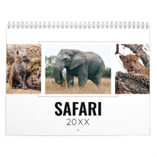 African Wild Animals Safari Photos The Big Five Calendar