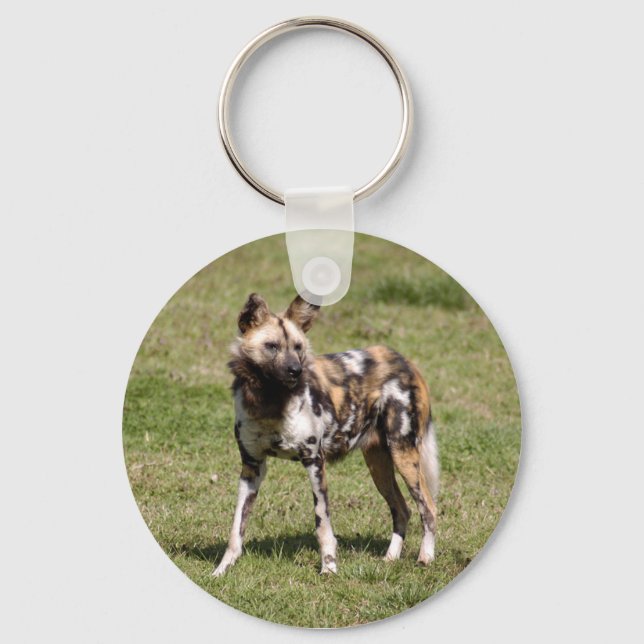 african-wild-dog-015 keychain (Front)