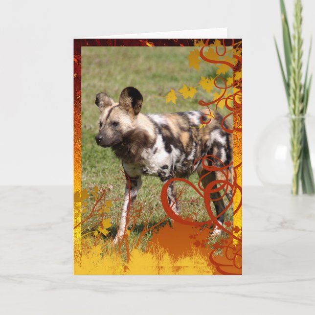 african-wild-dog-016 holiday card (Front)