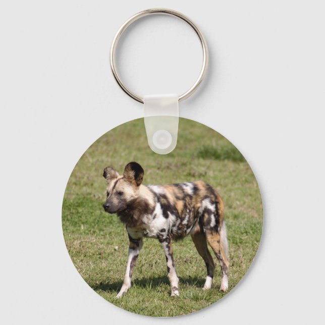 african-wild-dog-016 keychain (Front)