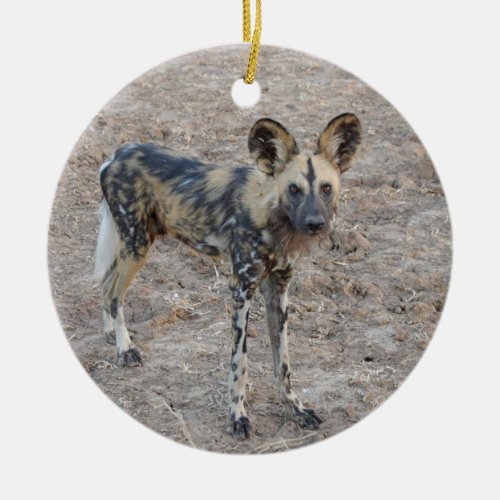 African Wild Dog ceramic ornament
