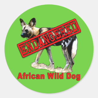 African Wild Dog Endangered Animal Products Classic Round Sticker