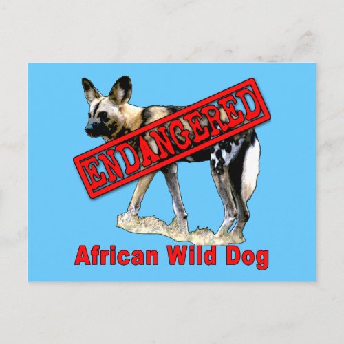 African Wild Dog Endangered Animal Products Postcard