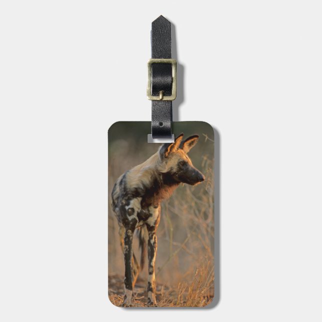 African Wild Dog (Lycaon Pictus), Kruger Luggage Tag (Front Vertical)