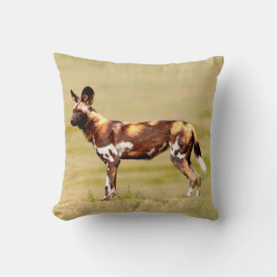 African Wild Dog (Lycaon Pictus) Standing Throw Pillow