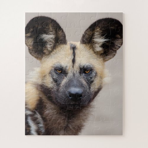 African Wild Dog Painted Dog Jigsaw Puzzle