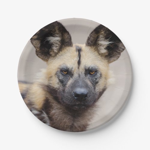 African Wild Dog Painted Dog Paper Plates