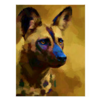 African Wild Dog