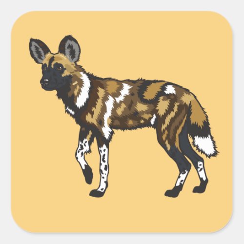 African wild dog Wild Africa Square Sticker