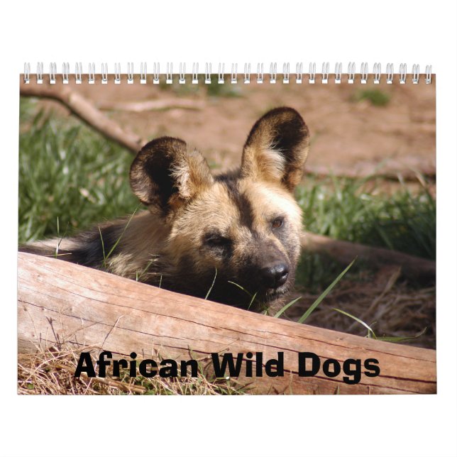 African Wild Dogs Calendar, African Wild Dogs Calendar (Cover)