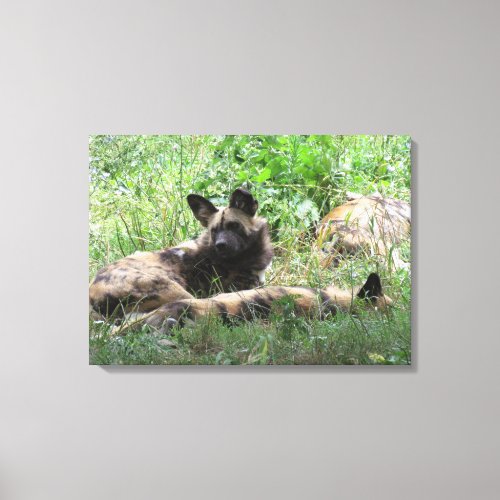 African Wild Dogs Canvas Print