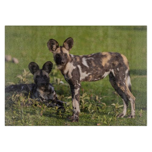 African Wild Dogs in Tanzania Cutting Board