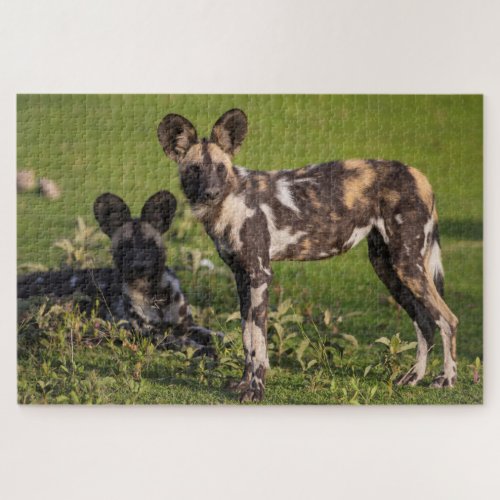 African Wild Dogs in Tanzania Jigsaw Puzzle