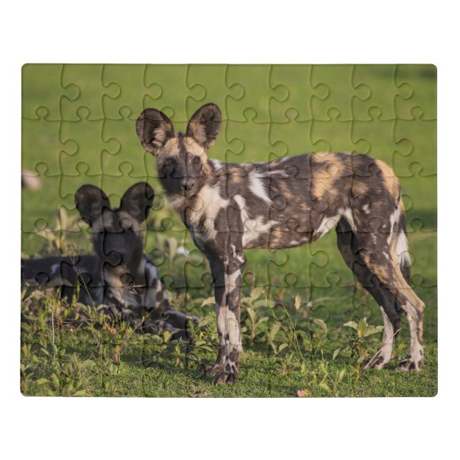 African Wild Dogs in Tanzania Jigsaw Puzzle (Puzzle Horizontal)