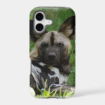 African Wild Dogs iPhone 17 Case