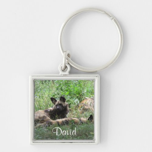 African WIld Dogs Keychain