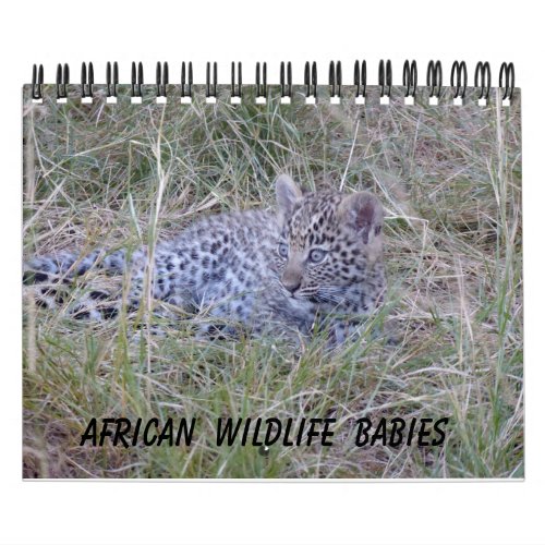 AFRICAN WILDLIFE BABIES CALENDAR